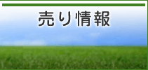 売り情報